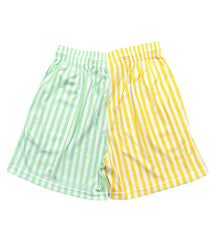 Eric Emanuel Basic Stripe Shorts Multicolor